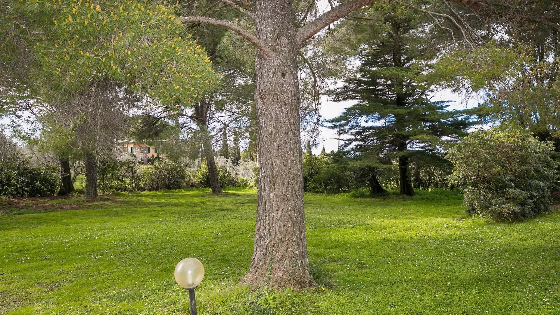Il Nazareno - Il Coppaio Villa Cecina  Farm stay Cecina (Livorno)